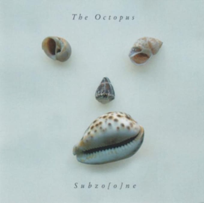Octopus