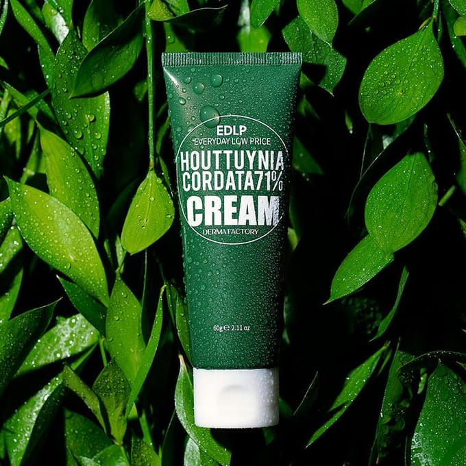 [DERMA FACTORY] EDLP Crème Houttuynia Cordata 71% 60ml black