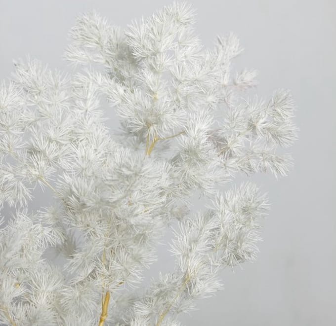 Boeket van gedroogde bloemen Artemio