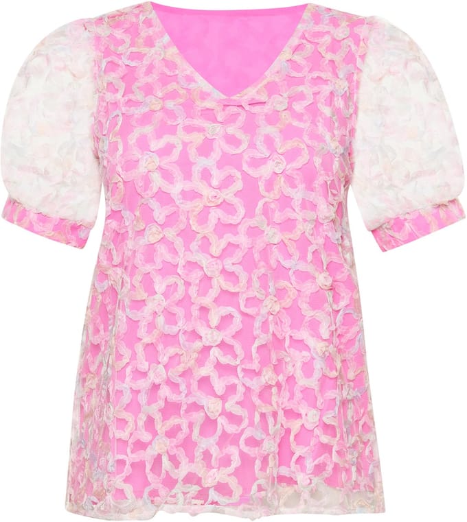 usha Blouse