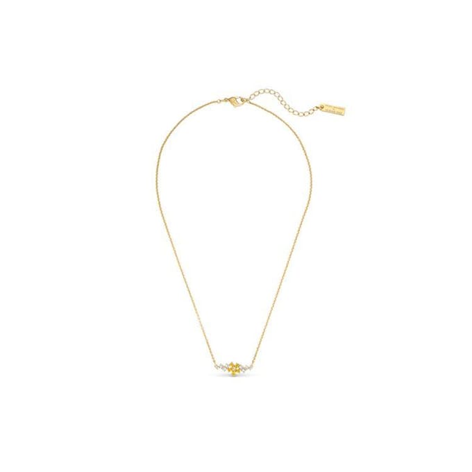Swarovski Botanische Kettingen Dames Goud 5535781 Gold white