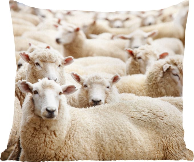 Sierkussens - Kussentjes Woonkamer - 60x60 cm - Schapen - Wol - Wit