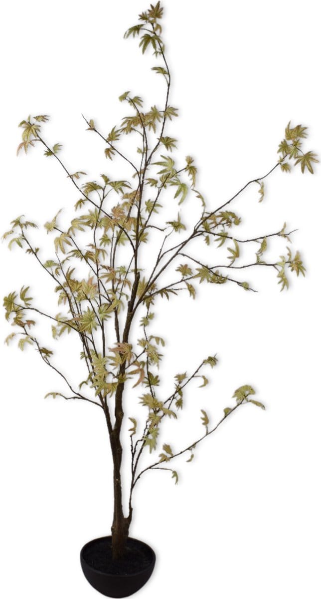 Silk-ka Kunstplant voor Binnen Groen 170 cm