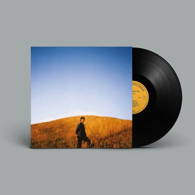 Sam Burton - Dear Departed (LP)