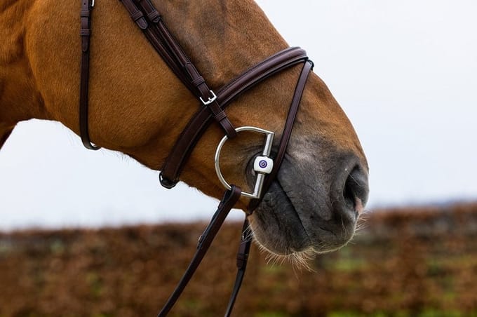 Trust Hoofdstel Knokke Classic Bruin/Silver - Cob