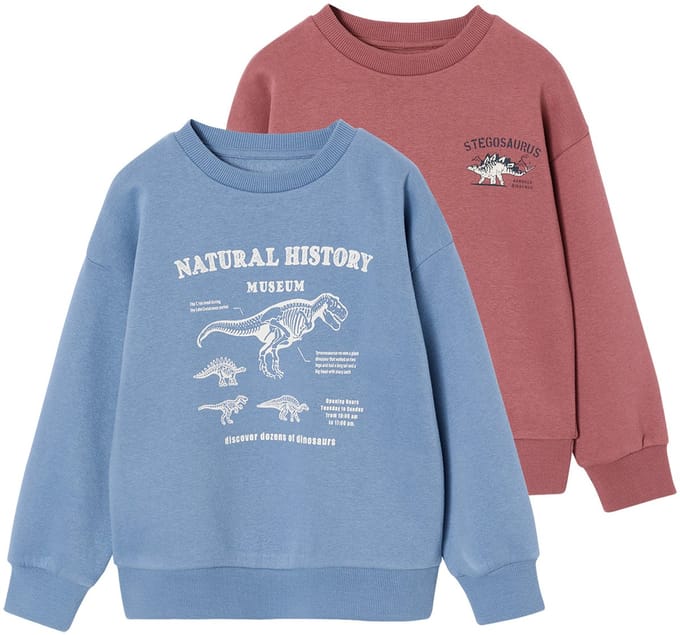 Vertbaudet Set van 2 sweaters "Cool and Fun"