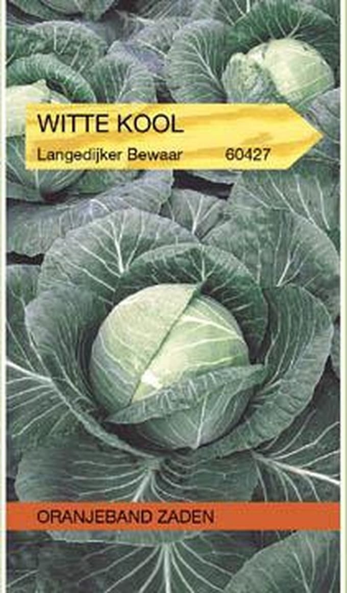 Witte kool Langedijker Bewaar
