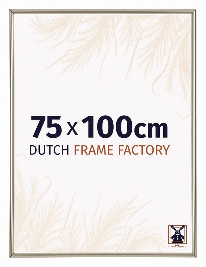 Fotolijst 75x100 cm - Kunststof - Champagne - Angers