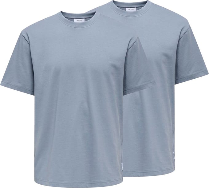 Only & Sons Heren t-shirt 2 pack Onsfred