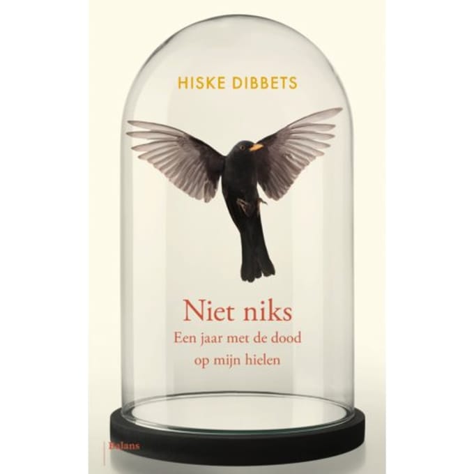 Niet Niks - Hiske Dibbets