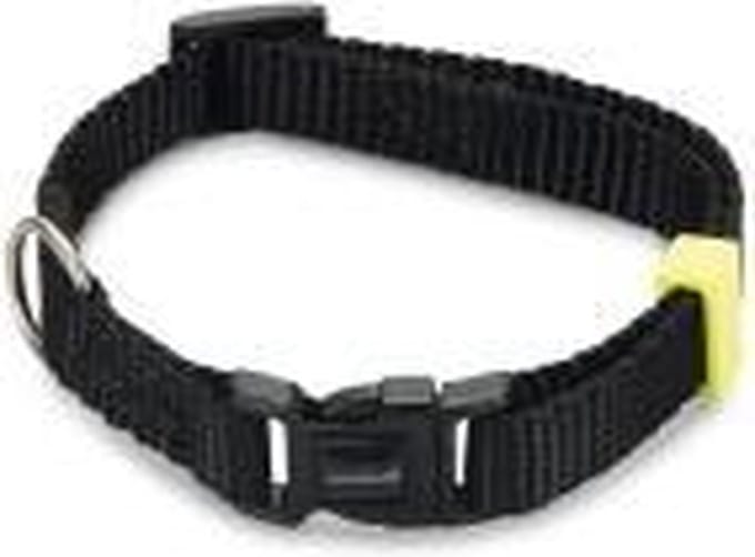 BEEZTEES BZ NYLON HALSBAND UNI ZWT 20-30X10