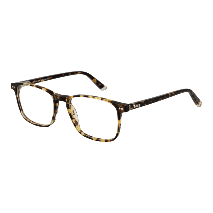 Taylor Morris Brilrand SW16 C10 52