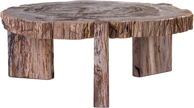 PTMD Kayo Natural Petrified Wood 3 Leg Coffeetable Low