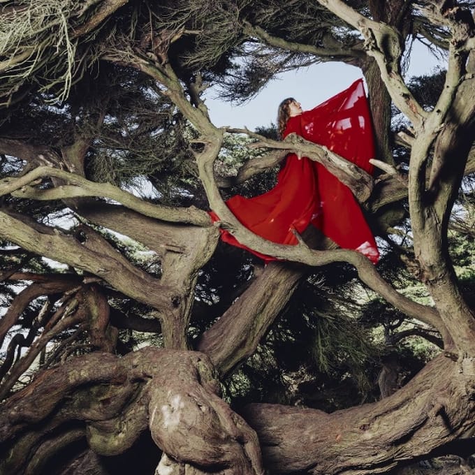 Nested In Tangles - Hannah Frances