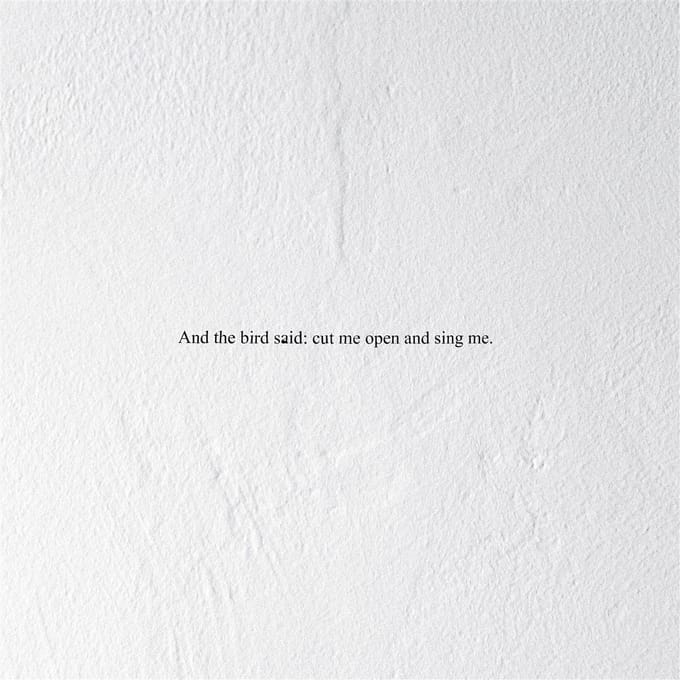 Prairie - And The Bird Said: Cut Me Open And Sing Me (CD)