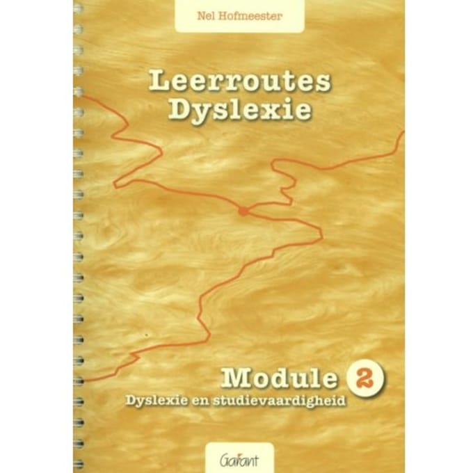 Leerroutes Dyslexie / Module 2 Dyslexie En Studievaardigheid - Nel Hofmeester