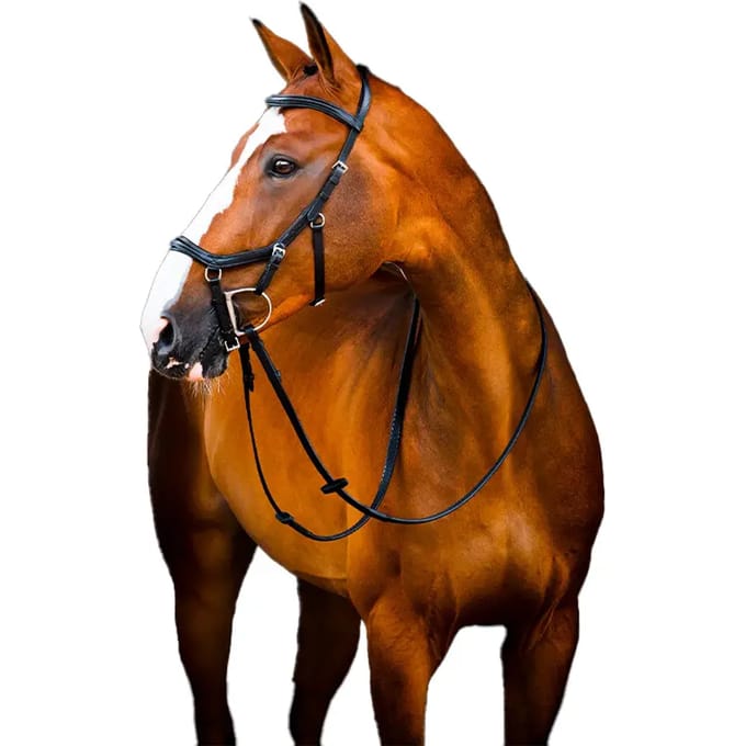 Hoofdstellen met rubberen teugels Horseware Micklem 2 Deluxe