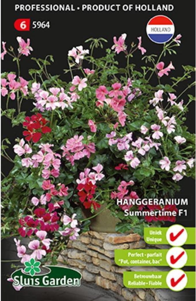 Sluis Garden - Tuingeranium Summertime F1 (Hanggeranium)