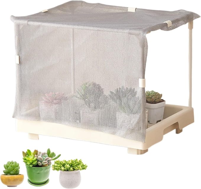 Binnenkas - Kweekkas - Planten Beschermen - Verhoogde Basis - 215 x 155 x 35 cm - Wit