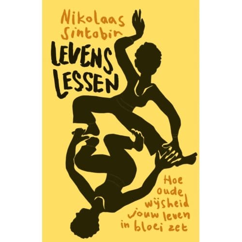 Levenslessen - Nikolaas Sintobin