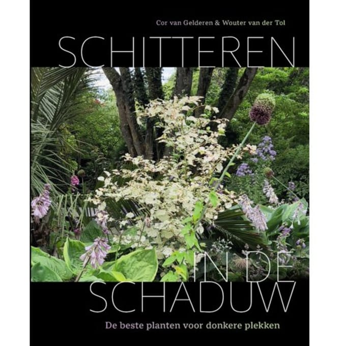 Schitteren In De Schaduw - Cor van Gelderen
