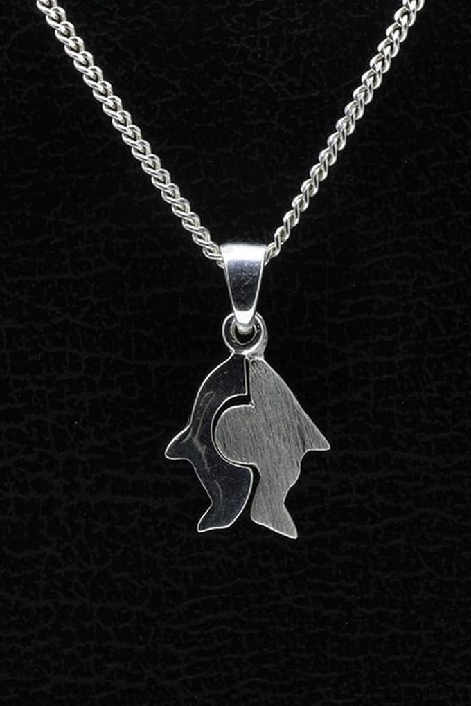Zilveren Vis ketting hanger - matglans