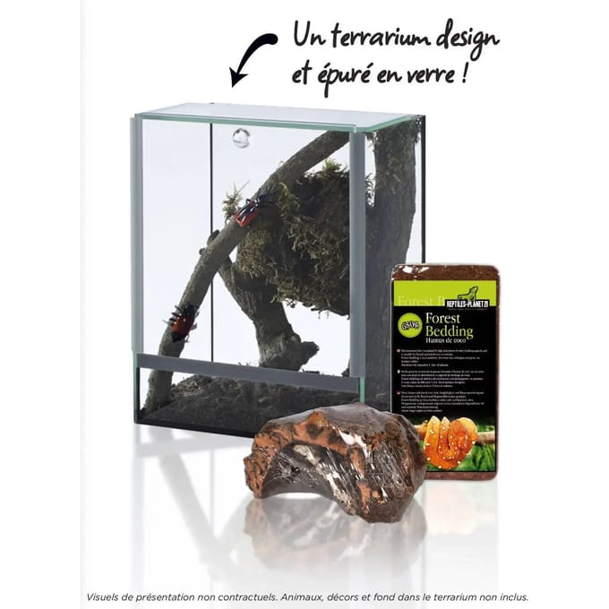 Aquarium accessoires Reptiles Planet Terra