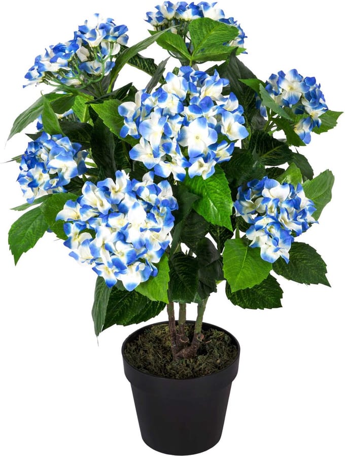 Homescapes kunstplant blauw 'hortensia' in pot, 70 cm