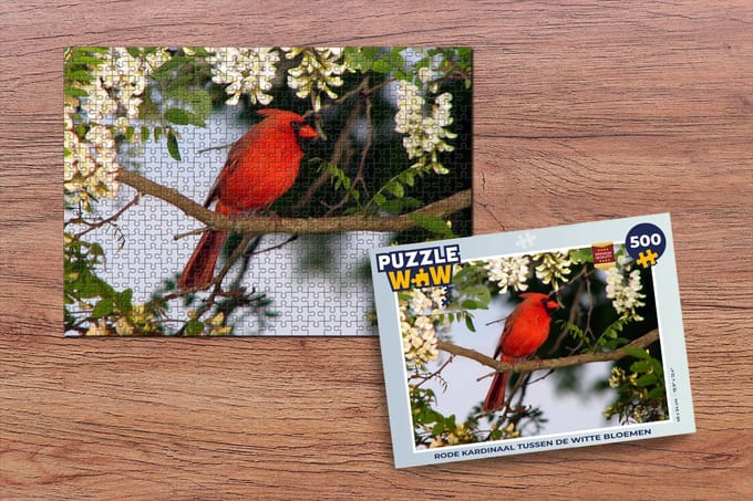 Puzzel Rode kardinaal tussen de witte bloemen - Legpuzzel - Puzzel 500 stukjes