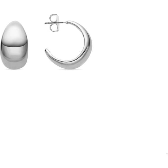 Luxenter Oorbellen met een diameter van 24 mm, zilveren afwerking - Wanisdi
