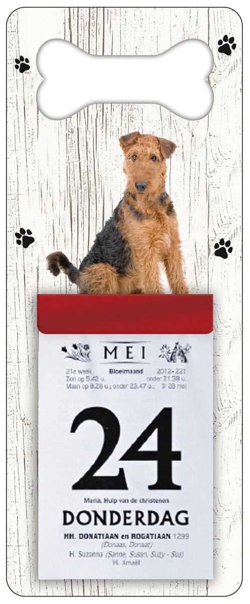 Scheurkalender 2027 Hond: Airedale TerrieÃ©r