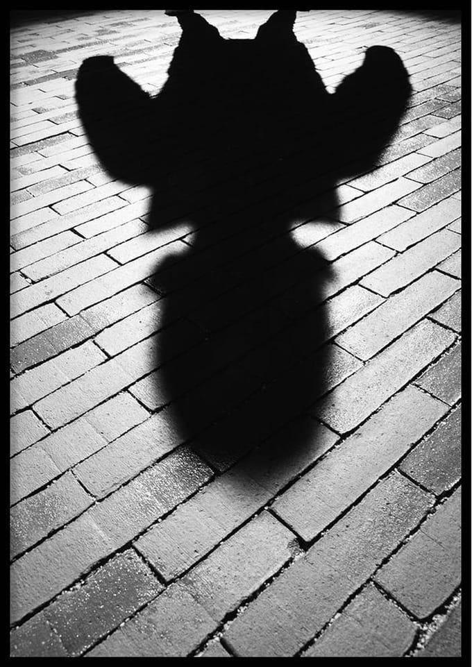 Poster – Schaduw Jongen - 50x70cm