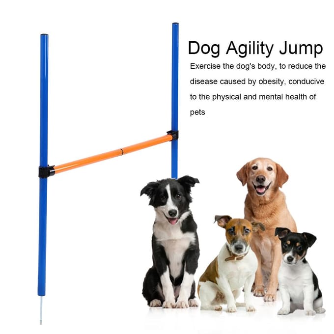 Plastic Buiten Afneembare Hond Agility Spring Hindernis Stok Spelletjes Apparatuur Oefenspeelgoed blue