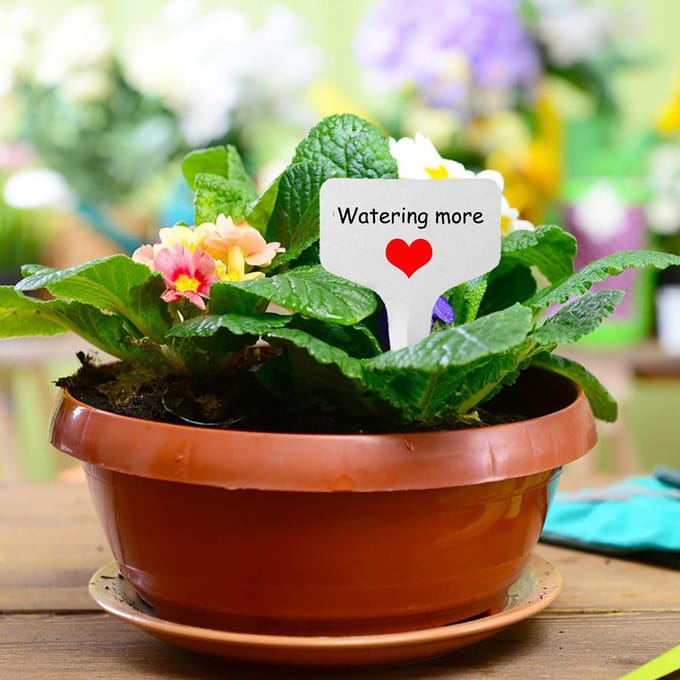 100 stuks PVC Tuinlabels Wit Tuinieren Plant Sorteren Bordje Label Ticket Plastic Schrijfbord wit