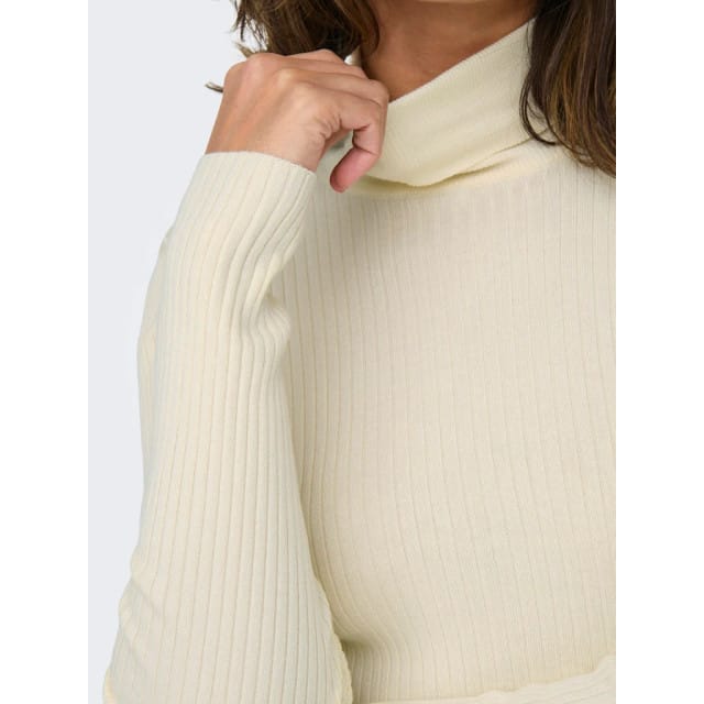 JDY - JDYPLUM L/S ROLL NECK PULLOVER KNT - Dames - Gebreide truien