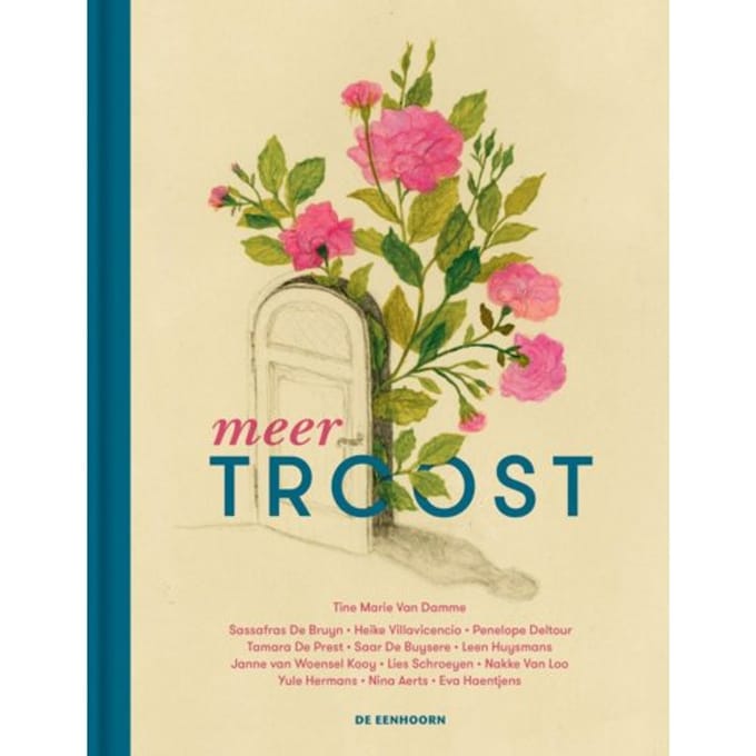 Meer Troost - Troost - Tine Marie van Damme