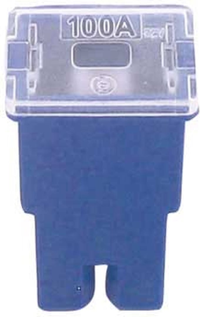 FLF pal zekering 100 amp 1 stuk