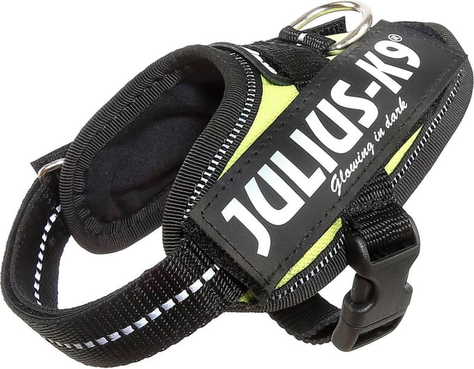 Julius-K9 IDC®Powertuig, 3XS - Baby1, neon