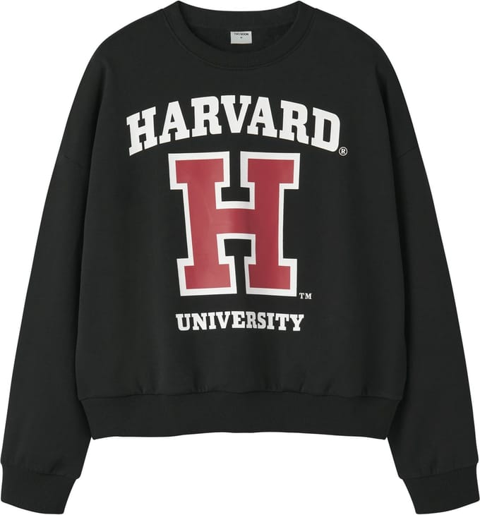 NAME IT - TAFT COLLEGE LO SHO SWE BRU BOX NOOS SKY - Dames - Sweaters
