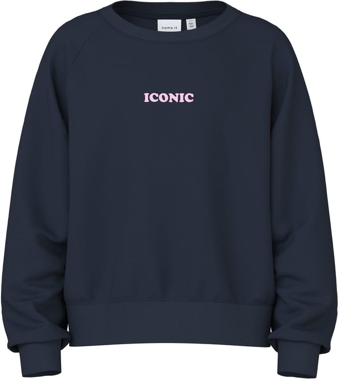 NAME IT - NKFVANEZZA LS NREG SWEAT UNB - Meisjes - Sweaters