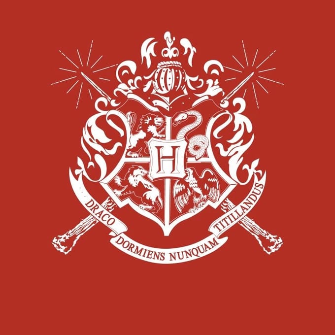 Harry Potter Hogwarts T-shirt - Rood - S