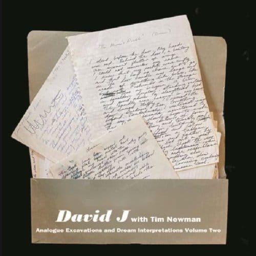 Analogue Excavations & Dream Interpretations Vol.2 - David J With Tim Newman