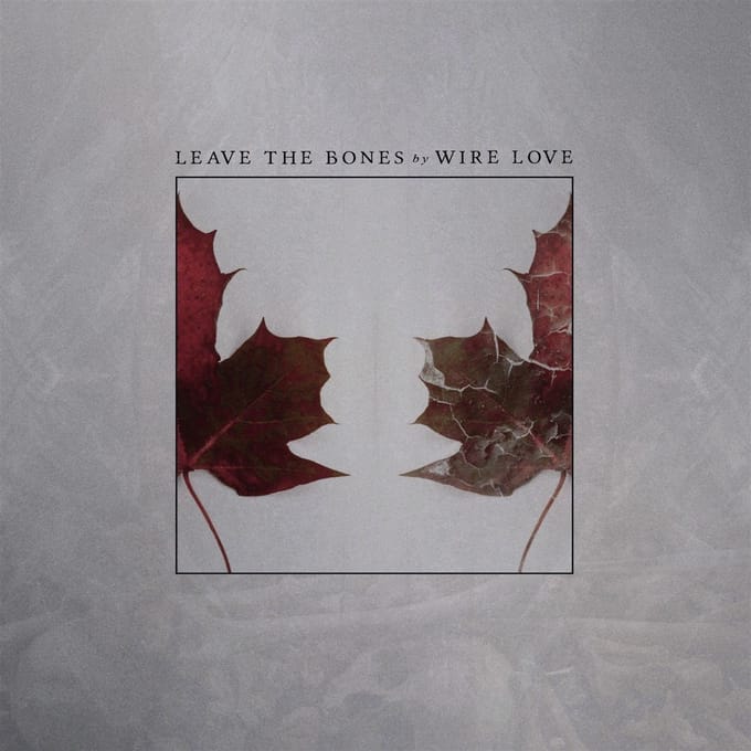 Wire Love - Leave The Bones (LP)