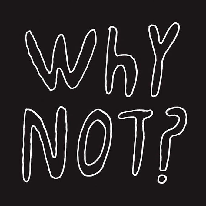 Half Japanese - Why Not? (LP) (Coloured Vinyl)
