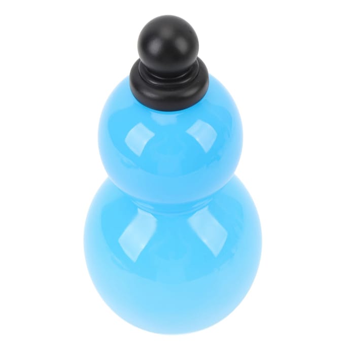 Gourde 800 ml, bouteille d'eau portable d'extérieur, décoration rétro avec sangle brillante noir