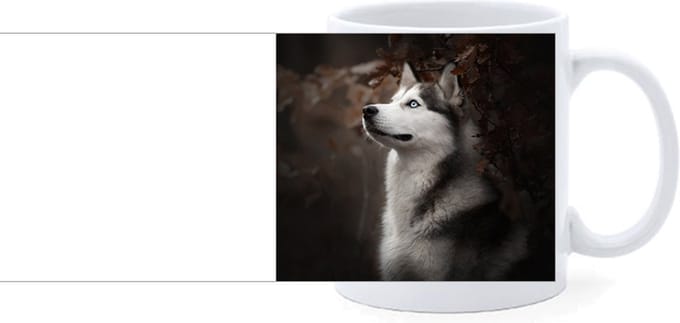 Beker - Husky