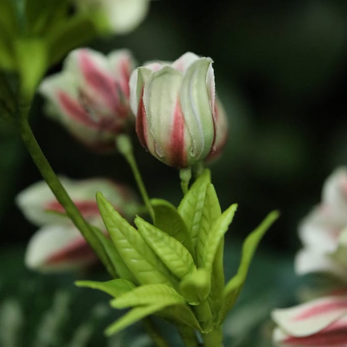 Enkianthus 80cm Kunsttak Groen Rood