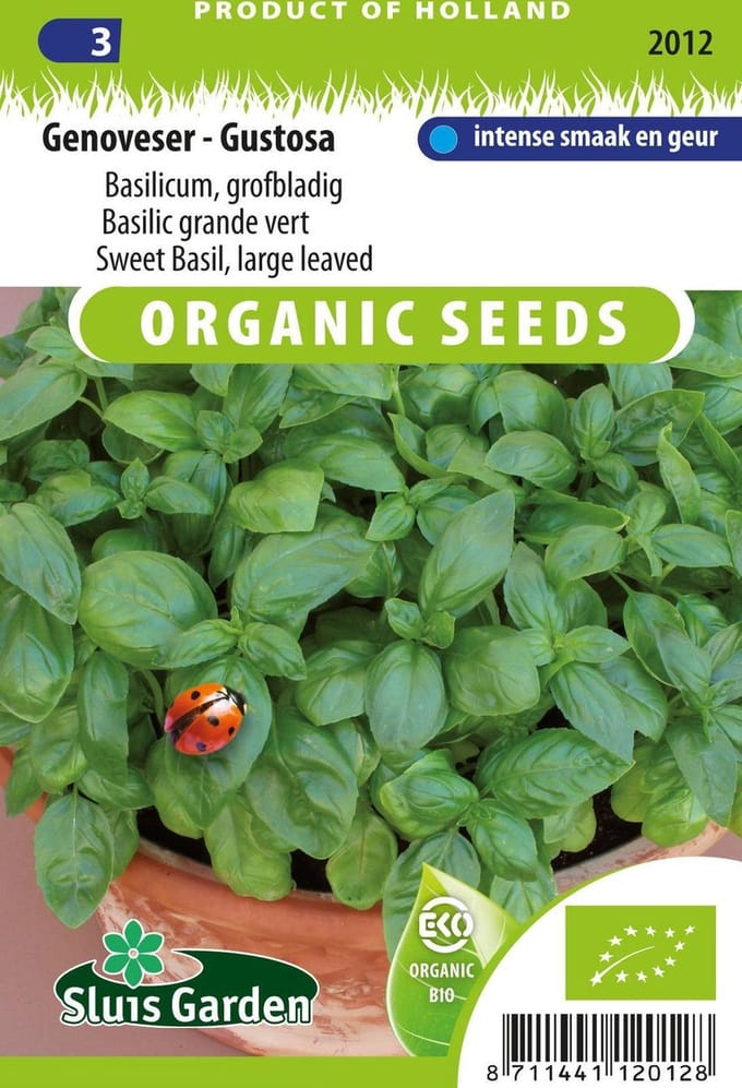 Sluis Garden - Basilicum Genoveser Aton Biologisch (Ocimum basilicum)