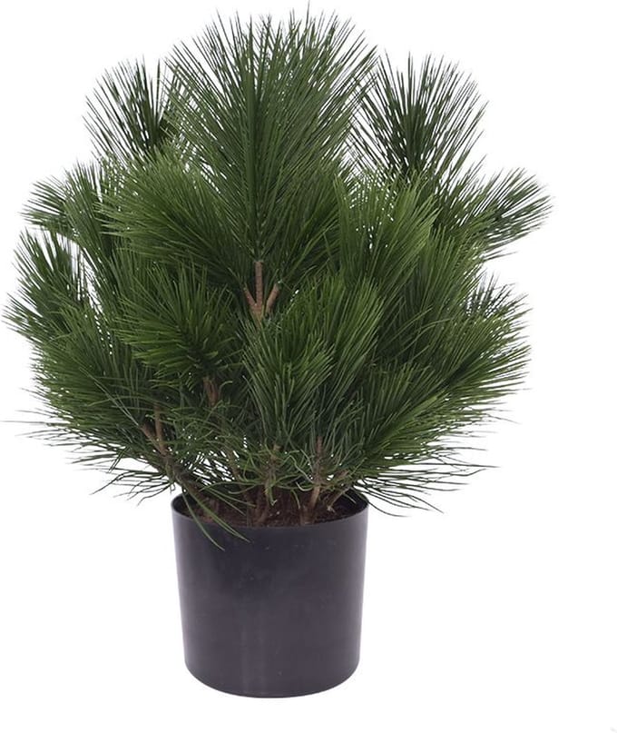Pinus bol kunstplant 45cm - UV bestendig