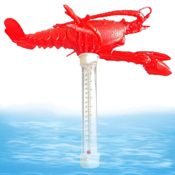 Digitale Thermometer - Watermeter Zwembad - Temperatuur Meten - Schattig Dieren Design - 20 Centimeter - Kreeft